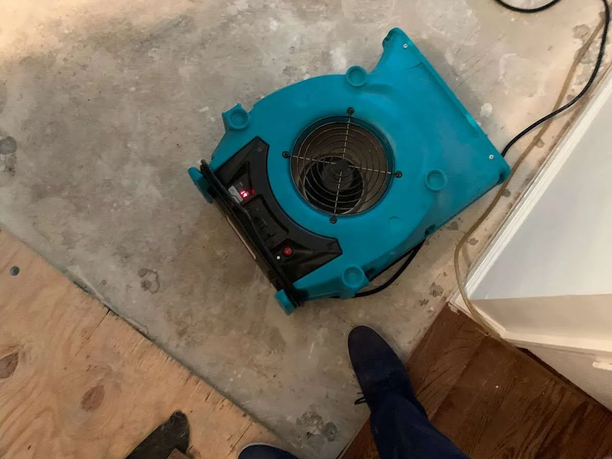 Air mover drying subfloor during Leak Detection & Repair in Freeport